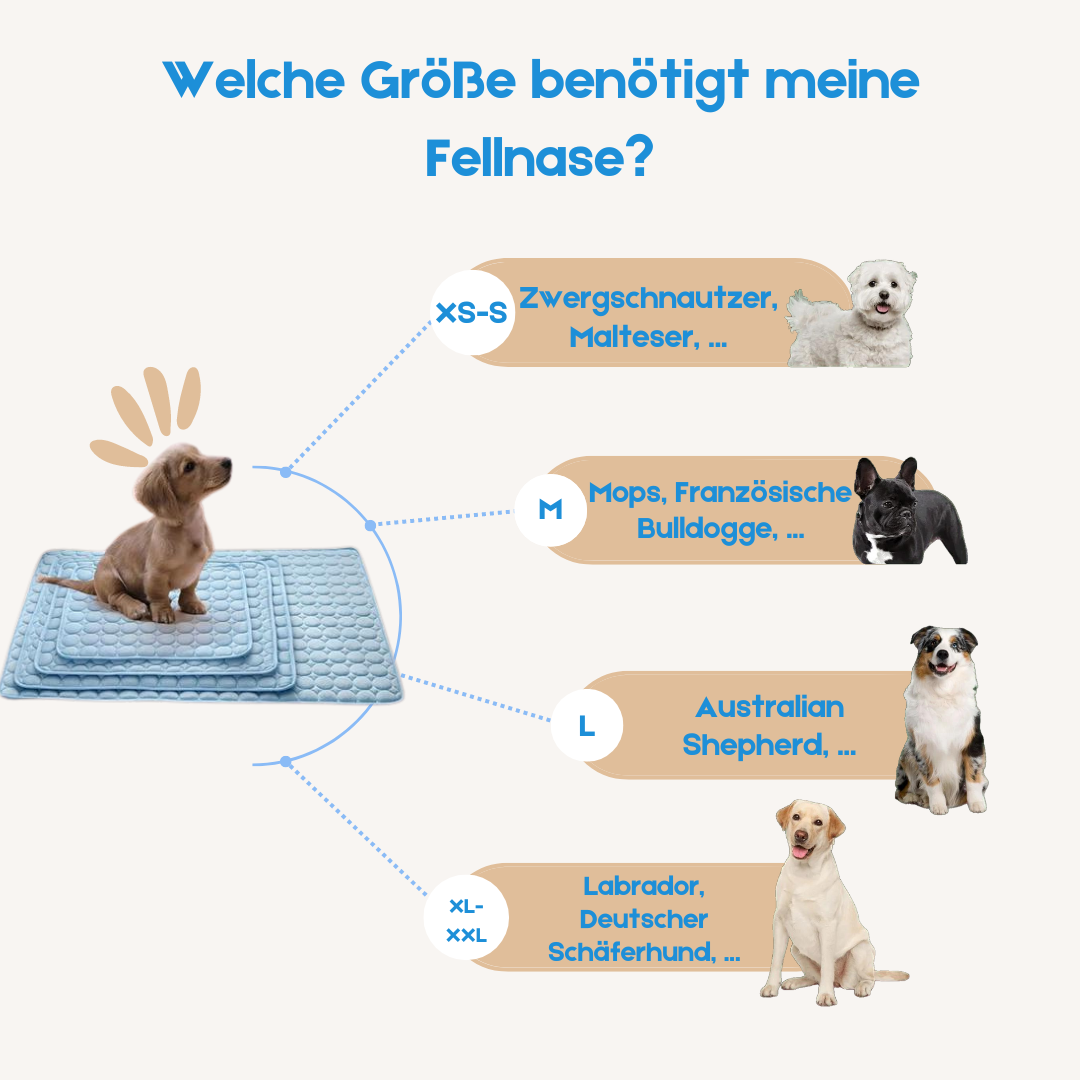 CoolBuddy - Kühlmatte für Hunde