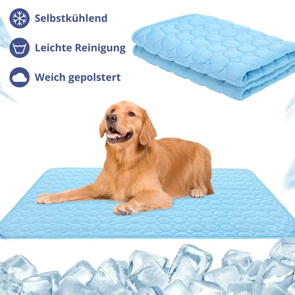 CoolBuddy - Kühlmatte für Hunde